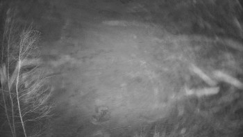 SKICENTRUM Miroslav Lipová Lázně