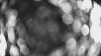 SKICENTRUM Miroslav Lipová Lázně