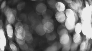 SKICENTRUM Miroslav Lipová Lázně