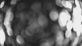 SKICENTRUM Miroslav Lipová Lázně