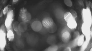 SKICENTRUM Miroslav Lipová Lázně