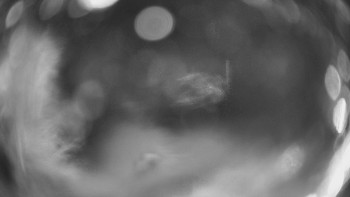 SKICENTRUM Miroslav Lipová Lázně