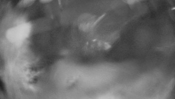 SKICENTRUM Miroslav Lipová Lázně