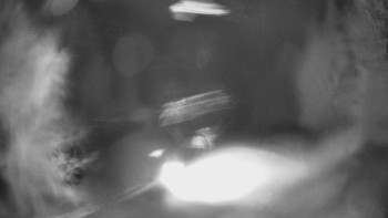 SKICENTRUM Miroslav Lipová Lázně