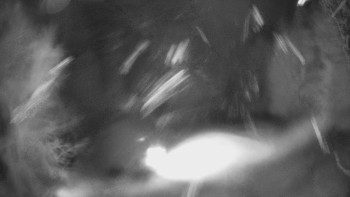 SKICENTRUM Miroslav Lipová Lázně