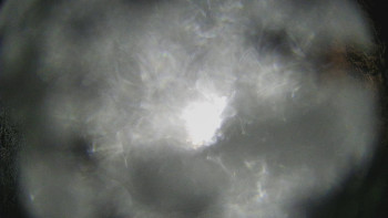 SKICENTRUM Miroslav Lipová Lázně