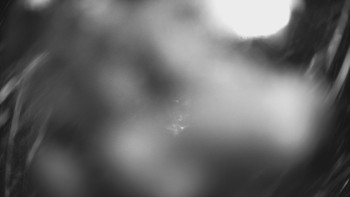 SKICENTRUM Miroslav Lipová Lázně