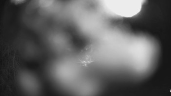 SKICENTRUM Miroslav Lipová Lázně