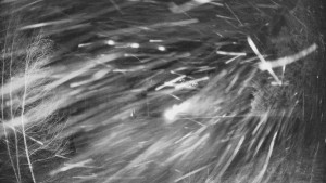 SKICENTRUM Miroslav Lipová Lázně - Výstupní stanice lanové dráhy - 30.12.2025 v 04:00