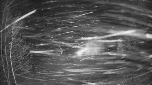 SKICENTRUM Miroslav Lipová Lázně - Výstupní stanice lanové dráhy - 30.12.2025 v 04:15