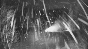 SKICENTRUM Miroslav Lipová Lázně - Výstupní stanice lanové dráhy - 30.12.2025 v 04:30