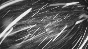 SKICENTRUM Miroslav Lipová Lázně - Výstupní stanice lanové dráhy - 30.12.2025 v 17:45