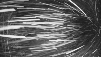 SKICENTRUM Miroslav Lipová Lázně