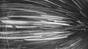 SKICENTRUM Miroslav Lipová Lázně