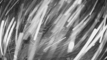 SKICENTRUM Miroslav Lipová Lázně