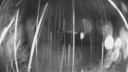 Výstupní stanice lanové dráhy