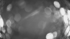 SKICENTRUM Miroslav Lipová Lázně - Výstupní stanice lanové dráhy - 29.1.2026 v 01:45