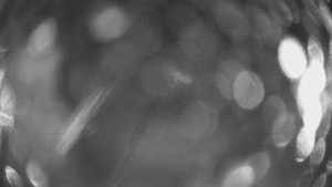 SKICENTRUM Miroslav Lipová Lázně - Výstupní stanice lanové dráhy - 29.1.2026 v 02:45