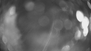 SKICENTRUM Miroslav Lipová Lázně - Výstupní stanice lanové dráhy - 29.1.2026 v 03:00 SKICENTRUM Miroslav Lipová Lázně - Výstupní stanice lanové dráhy - 29.1.2026 v 03:00