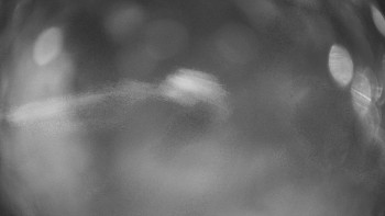 SKICENTRUM Miroslav Lipová Lázně