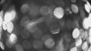 SKICENTRUM Miroslav Lipová Lázně - Výstupní stanice lanové dráhy - 29.1.2026 v 18:30 SKICENTRUM Miroslav Lipová Lázně - Výstupní stanice lanové dráhy - 29.1.2026 v 18:30