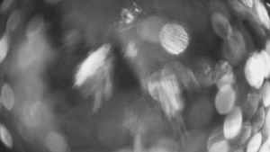 SKICENTRUM Miroslav Lipová Lázně - Výstupní stanice lanové dráhy - 29.1.2026 v 18:45