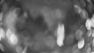 SKICENTRUM Miroslav Lipová Lázně - Výstupní stanice lanové dráhy - 29.1.2026 v 19:00 SKICENTRUM Miroslav Lipová Lázně - Výstupní stanice lanové dráhy - 29.1.2026 v 19:00