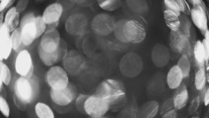 SKICENTRUM Miroslav Lipová Lázně - Výstupní stanice lanové dráhy - 29.1.2026 v 19:15 SKICENTRUM Miroslav Lipová Lázně - Výstupní stanice lanové dráhy - 29.1.2026 v 19:15