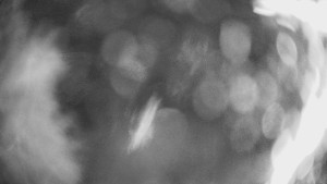 SKICENTRUM Miroslav Lipová Lázně - Výstupní stanice lanové dráhy - 29.1.2026 v 20:00 SKICENTRUM Miroslav Lipová Lázně - Výstupní stanice lanové dráhy - 29.1.2026 v 20:00