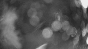 SKICENTRUM Miroslav Lipová Lázně - Výstupní stanice lanové dráhy - 29.1.2026 v 20:15 SKICENTRUM Miroslav Lipová Lázně - Výstupní stanice lanové dráhy - 29.1.2026 v 20:15