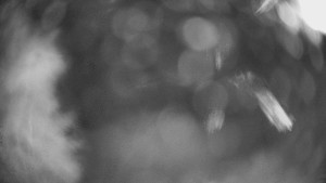 SKICENTRUM Miroslav Lipová Lázně - Výstupní stanice lanové dráhy - 29.1.2026 v 21:00 SKICENTRUM Miroslav Lipová Lázně - Výstupní stanice lanové dráhy - 29.1.2026 v 21:00