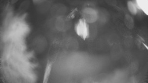 SKICENTRUM Miroslav Lipová Lázně - Výstupní stanice lanové dráhy - 29.1.2026 v 21:45 SKICENTRUM Miroslav Lipová Lázně - Výstupní stanice lanové dráhy - 29.1.2026 v 21:45