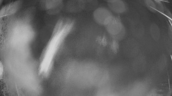 SKICENTRUM Miroslav Lipová Lázně