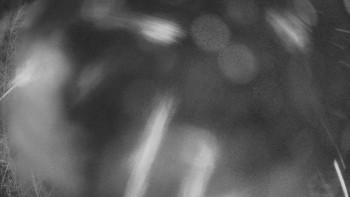 SKICENTRUM Miroslav Lipová Lázně