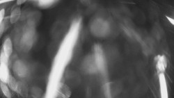 Výstupní stanice lanové dráhy