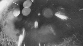 SKICENTRUM Miroslav Lipová Lázně