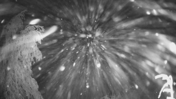 SKICENTRUM Miroslav Lipová Lázně