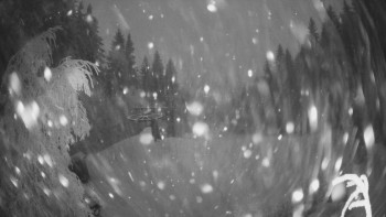 SKICENTRUM Miroslav Lipová Lázně