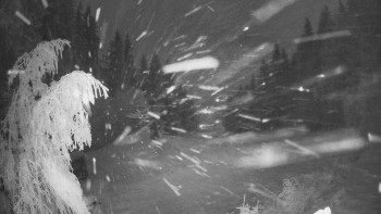 SKICENTRUM Miroslav Lipová Lázně