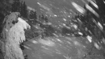 SKICENTRUM Miroslav Lipová Lázně