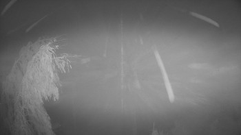 SKICENTRUM Miroslav Lipová Lázně