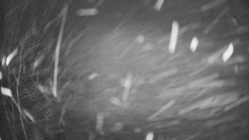 SKICENTRUM Miroslav Lipová Lázně