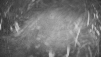 SKICENTRUM Miroslav Lipová Lázně