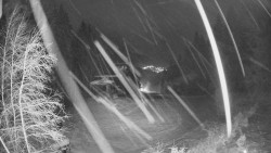 Výstupní stanice lanové dráhy