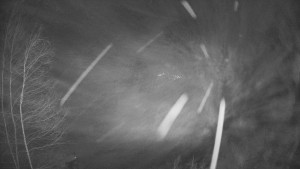 SKICENTRUM Miroslav Lipová Lázně - Výstupní stanice lanové dráhy - 12.2.2026 v 01:15