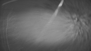 SKICENTRUM Miroslav Lipová Lázně - Výstupní stanice lanové dráhy - 12.2.2026 v 02:00