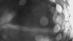 Výstupní stanice lanové dráhy