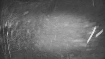 SKICENTRUM Miroslav Lipová Lázně