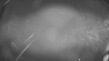 SKICENTRUM Miroslav Lipová Lázně