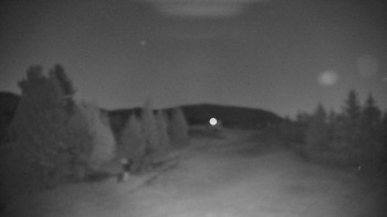 Snímek    15.6.2025 v 03:00